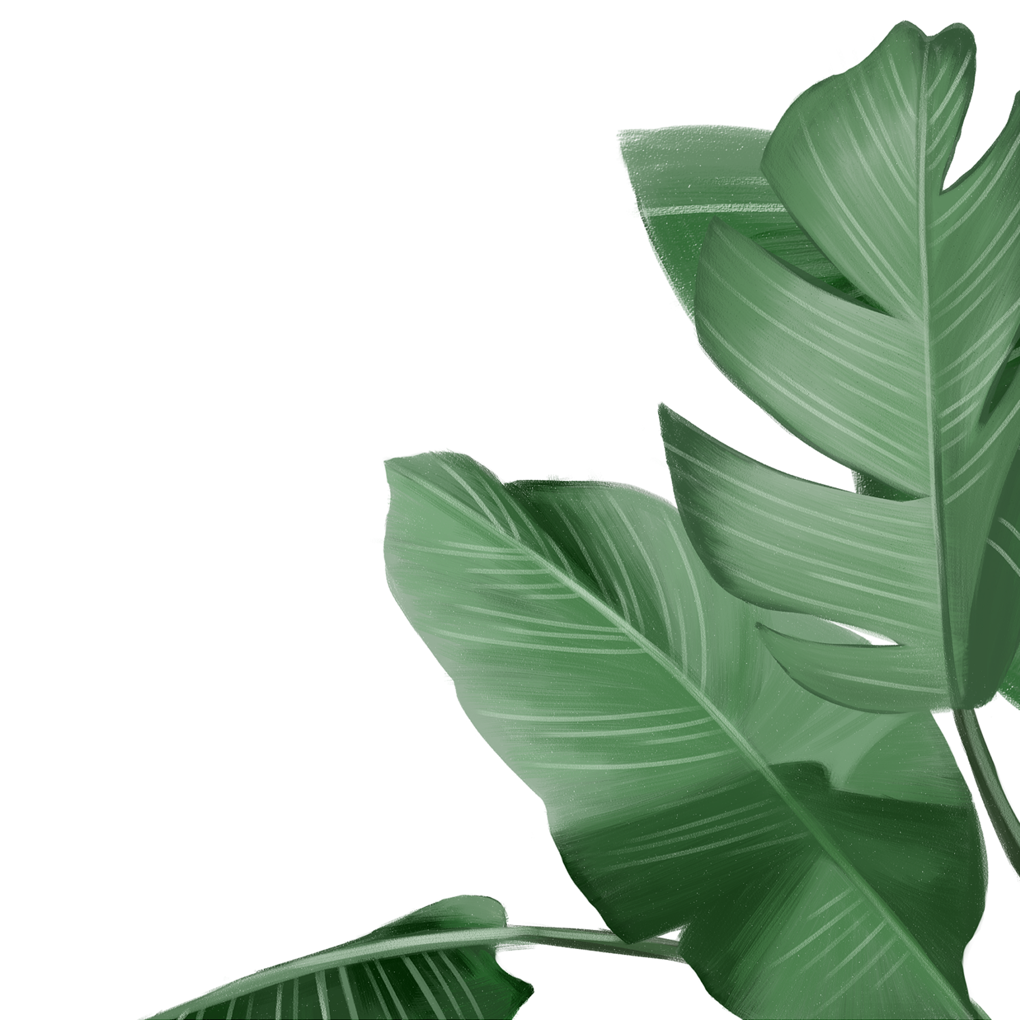 Right tropical leaves